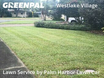 Lawn Service nearby Palm Harbor, FL, 