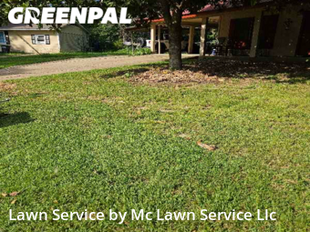 Yard Cutting nearby Pearl, MS, 