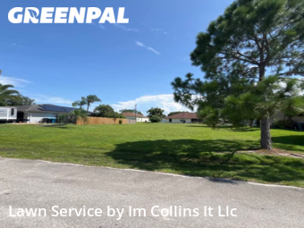 Grass Cutting nearby Palm Bay, FL, 