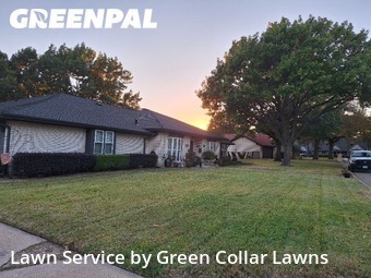 Lawn Carein Mansfield,76063,Lawn Maintenance by Green Collar Lawns, work completed in Jan , 2026