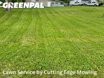 Lawn Cut nearby Independence, MO, 