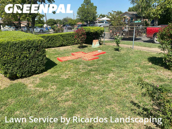 Grass Cut nearby Dallas, TX, 