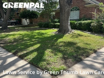 Lawn mowed in Addison, 75001