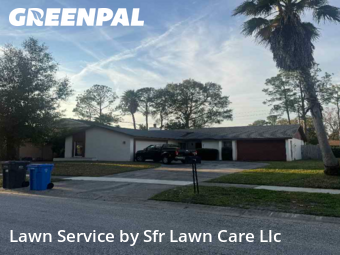 Lawn mowed in Northdale, 33624