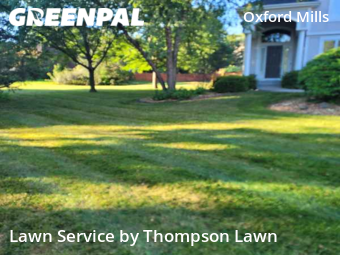 Lawn Mow nearby Overland Park, KS, 