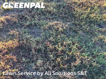 Lawn Mow nearby Winter Haven, FL, 