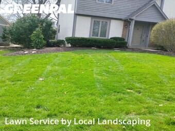 Work completed by lawn-maintenance-in-Dublin-CA