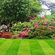 affordable-landscaping-maintenance-services-in-Knoxville-TN