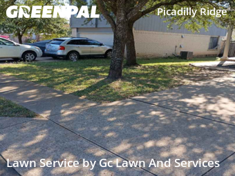Grass Cutting nearby Pflugerville, TX, 