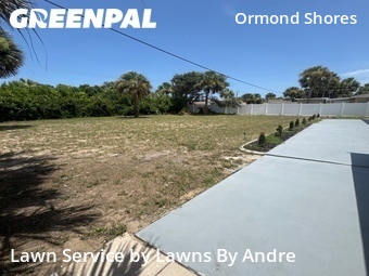 Grass Cut nearby Ormond Beach, FL, 