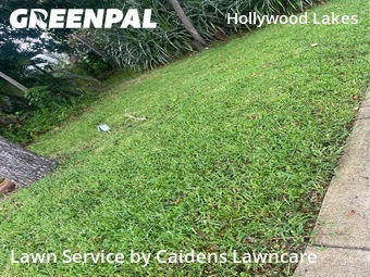 Lawn Mowing Service nearby Hollywood, FL, 
