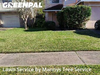 Lawn Mowing nearby Friendswood, TX, 
