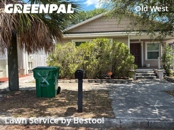 Lawn Cuttingin Tampa,33607,Lawn Mowing Service by Bestool, work completed in Jun , 2026