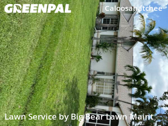Lawn Service nearby Cape Coral, FL, 