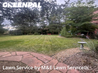 Yard Mowing nearby Arvada, CO, 