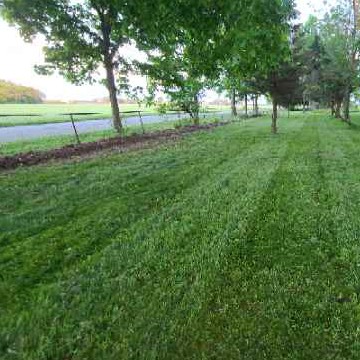 cheap-lawn-cutting-businesses-in-Muncie-IN