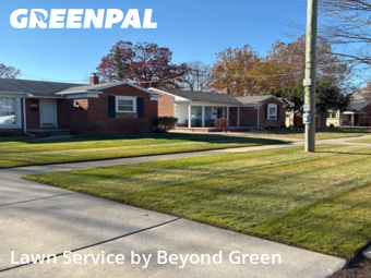 Lawn Upkeep in Dearborn Heights, 48127, Yard Upkeep by Beyond Green, work completed in Nov , 2025