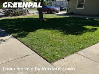 Yard Cutting nearby Loveland, CO, 