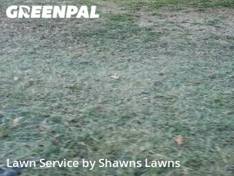 Grass Cut nearby Dallas, TX, 