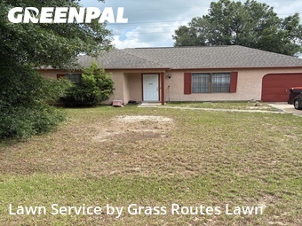 Lawn Cut nearby Silver Springs Shores, FL, 
