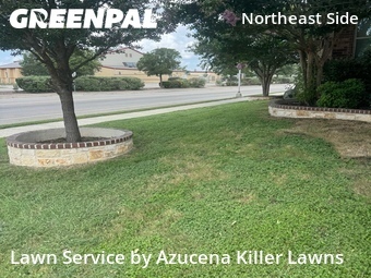 Lawn Cut nearby Schertz, TX, 