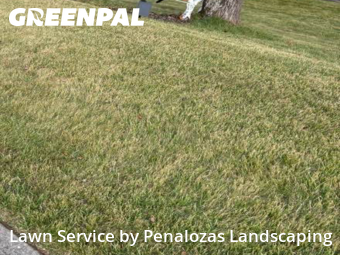 Grass Cutting nearby Cumming, GA, 