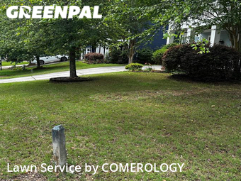 Grass Cut nearby Atlanta, GA, 