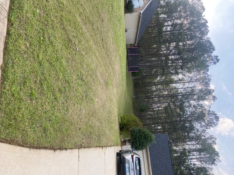 Reliant South Landsc Lawn Care Services in Covington, GA