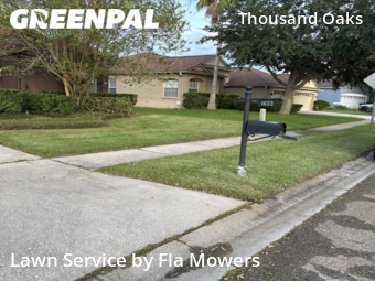 Lawn Care nearby Trinity, FL, 