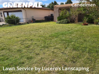 Lawn Cutting nearby Albuquerque, NM, 