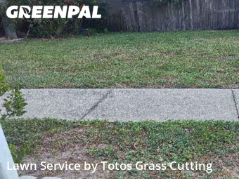 Yard Cuttingin Ocoee,34761,Grass Cut by Totos Grass Cutting, work completed in Nov , 2025