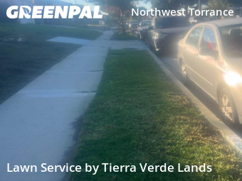 Work completed by yard-maintenance-professionals-in-Torrance-CA