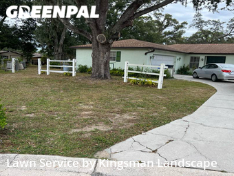 Yard Cutting nearby Brandon, FL, 