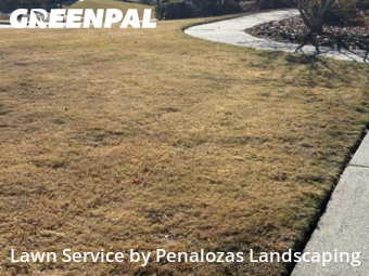 Lawn Care nearby Lawrenceville, GA, 