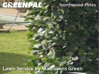 Weekly Mowing in West Palm Beach, 33407, Yard Mowing by Madissons Green, work completed in Nov , 2025