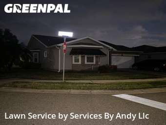 Lawn Cutting nearby Oldsmar, FL, 