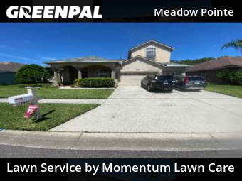 Lawn Maintenance nearby Wesley Chapel, FL, 