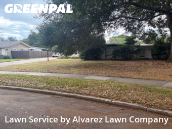 Lawn Cutin Winter Park,32792,Grass Cutting by Alvarez Lawn Company, work completed in Dec , 2025