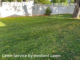 Lawn Cut nearby Fort Collins, CO, 