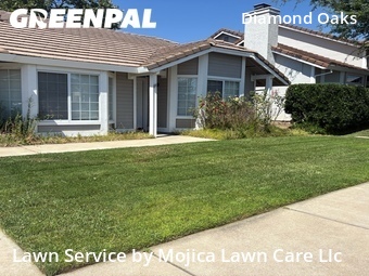 Lawn mowed in Roseville, 95678