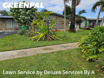 Yard Cuttingin Sunrise,33322,Grass Cutting by Deluxe Services By A, work completed in Dec , 2025