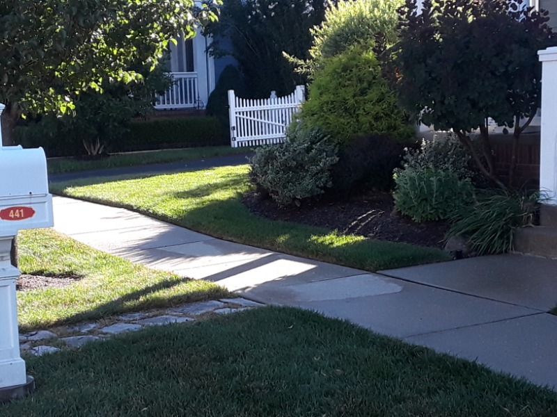 Order Lawn Care in Ecorse, MI, 48101