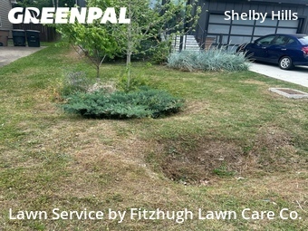 Lawn Mow nearby Nashville, TN, 