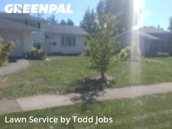 Yard Mowing nearby Carol Stream, IL, 