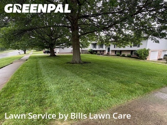 Lawn Cut nearby Lexington, KY, 