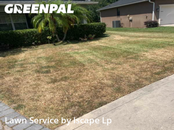 Lawn Mowing nearby Lakeland, FL, 