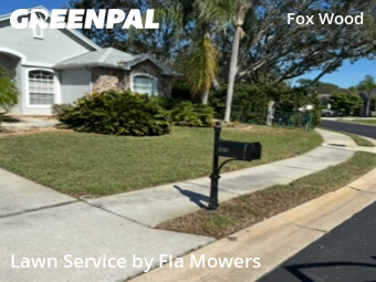 Lawn Cut nearby Trinity, FL, 