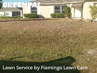 Lawn mowed in Cape Coral, 33993