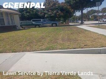Lawn Mowing Service nearby Huntington Park, CA, 