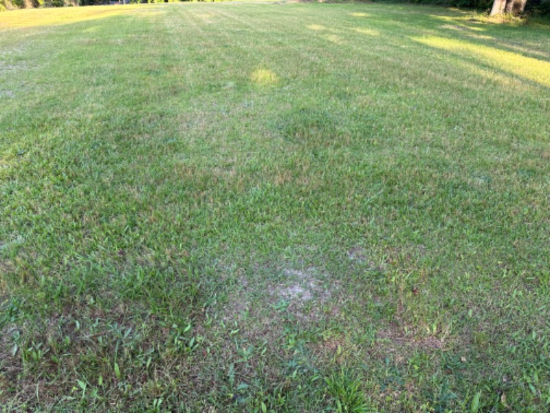 Yard mowing company in Columbus, GA, 31907